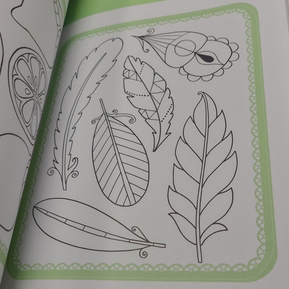 2 NEW ANY AGE COLORING BOOKS BEAUTIFUL COLORING 2016 & FLOWERS 2015 - Picture 6 of 10